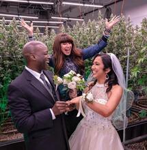 Gaat Taylor Swift in een cannabis dispensary trouwen?