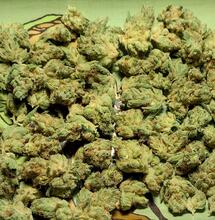 Garlic Cookies
