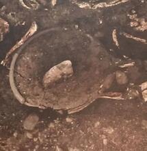 Des traces de cannabis dans la sépulture d’un gaulois  