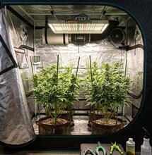 The Importance of Proper Ventilation for Indoor Cultivation