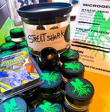 Cannabis Taliban: da Microgenetica Seed Bank al Coffeshop Mr K and Co