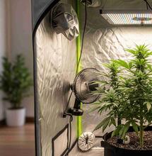 10 Reasons Why You Should Consider Using Grow Tents