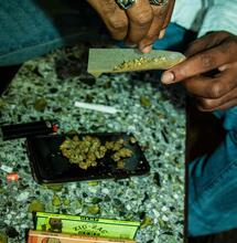  Coffeeshop Trial in Germany