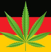 Sondage : 61 % des allemands seraient favorables à la légalisation