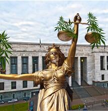 Cannabisanbau ist kein Verbrechen - das sagt das italienische Gesetz