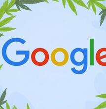 Google otwiera się na reklamy konopne. Program pilotażowy w Kanadzie