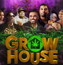 Top 5 de películas sobre marihuana