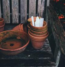 Growing Media: What Should you Use?