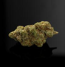 Growing for Terpenes