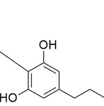 Cannabis de synthèse : H4CBD, THCP aussitôt le HHC interdit