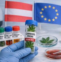 HLVd & Co. - Die besten EU‑Labore für Cannabis‑Tests