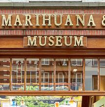 We are Mary Jane: Women of Cannabis