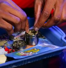Hash vs. Marihuana