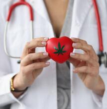 Early Cannabis use Linked to Heart Disease