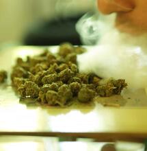 Helmond biedt Eindhoven ruimte voor coffeeshops