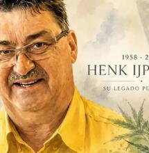 Sbohem, Henku IJpelaare