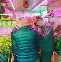 Minder kwekerijen opgerold