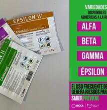 Highlife in Uruguay: het eerste land dat cannabis legaliseerde