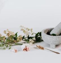 History of Medicinal Cannabis