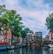 Holenderski eksperyment z legalną marihuaną wkracza w kluczową fazę