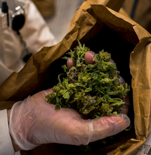 Why Is My Weed Not Drying Properly?