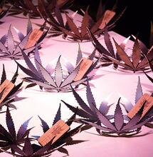 HomeGrown Cup Winter Edition