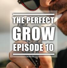 The Perfect Grow, Ep. 10: Le Smoke Test