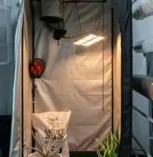 Tips for Keeping Cannabis Plants Healthy in Cold Weather