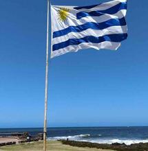 Uruguay: Latin American Leader in Legal Cannabis Exports