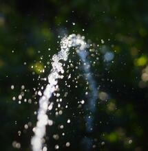 Common Watering Mistakes with Cannabis