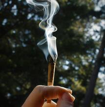 New Clarity on THC "Standard Unit" Could Help Public Health  