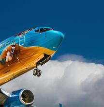 How Strict are Airport Cannabis Checks