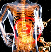 Medicinal Cannabis and the Immune System