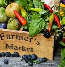  Legal Cannabis Can be Sold at New York Farmers' Markets