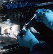 How long does THC stay in your body for?