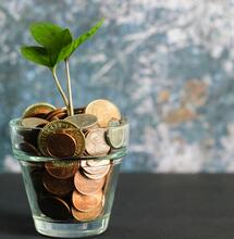 Lowering Costs When Growing Indoors: Tips for Budget-Friendly Cultivation