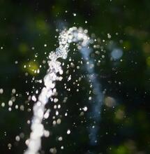 Richtig Bewässern: Der Schlüssel zur perfekten Cannabis-Ernte