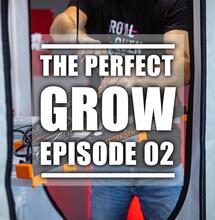 Perfect Grow- Tent Set up