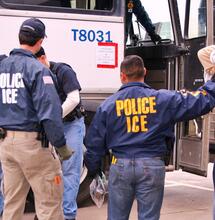 Raid des services d'immigration sur les sites de production de cannabis en Californie