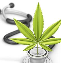 ICM bezorgd over beschikbaarheid medicinale cannabis