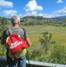 Cannabis und die sozialen Medien