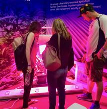 Qué dejó la Expo Cannabis Uruguay 2019