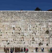 Cannabis terapeutica gratis a Gaza e dintorni