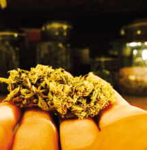 Guardando el cannabis