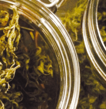 Una cosecha campestre