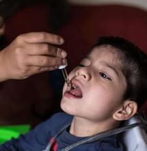 Descubriendo el sistema endocannabinoide