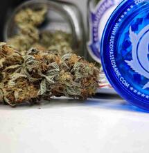 Cómo cultivar cogollos de marihuana premium?