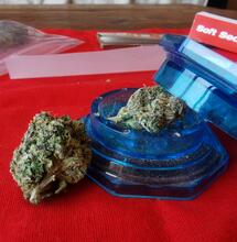 Welche Cannabissorten sind am beliebtesten?