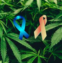 ALS & MS - Was kann Cannabis bewirken?