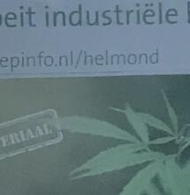 Gespot in Helmond: Hennepkwekerij!